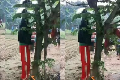 Geger! Warga Bekasi Temukan Mayat Tanpa Identitas Tergantung di Pohon Ceri
