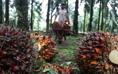 Serahkan Draf Persoalan LSM Asing ke Kemendagri, PB HMI Minta Semua Pihak Waspada
