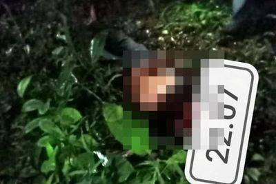 Mengenaskan, Pemburu Babi Hutan di Pekalongan Tewas, Diduga Terkena Tembakan Senapan