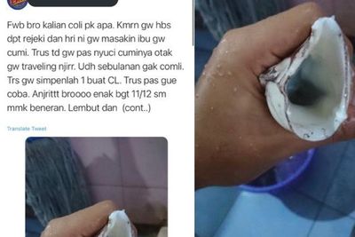Heboh Pria Beri Testimoni Onani Pakai Cumi-cumi, Bikin Netizen Jijik