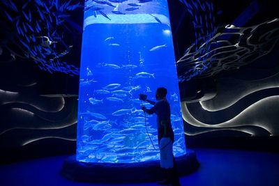FOTO: Perawatan Satwa Jakarta Aquarium Saat PPKM Mikro