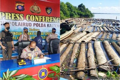 400 Batang Kayu Ilegal Disita dari Hasil Pembalakan Liar di Kalteng, Pelaku Ditangkap