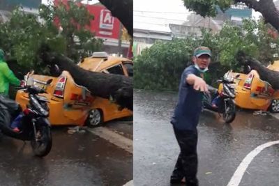 Mengerikan Detik-detik Dua Wanita Tewas Tertimpa Pohon Tumbang di Depan RSUP Adam Malik