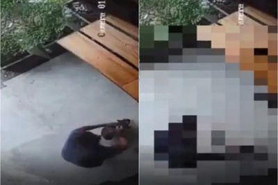 Kejam, Pria Ini Pukul Kepala Kucing Pakai Kayu Hingga Tewas di Depan Toko, Terekam CCTV