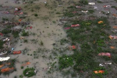 Penampakan Ratusan Jenazah COVID-19 Ngambang di Sungai Gangga