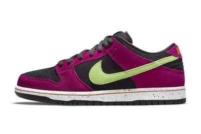 Nike akan Luncurkan Colorway Baru di SB Dunk Low ACG Terra !