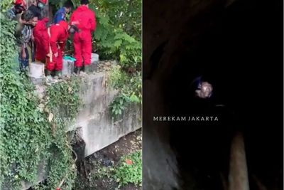 Heboh! Pria Tak Kunjung Keluar Usai Masuk Gorong-gorong Cari Biawak, Dievakuasi Petugas