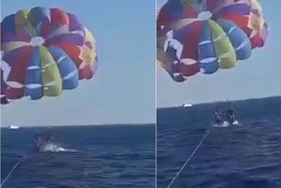 Ngeri, Seekor Hiu Melompat Keluar dari Air dan Merobek Kaki Paraglider di Laut Merah