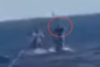 Detik-detik Hiu Melompat dari Air dan Menyerang Kaki Paralayang, Videonya Menegangkan!