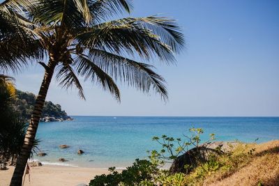 Phuket Mulai Buka Perbatasannya kepada Turis Asing!