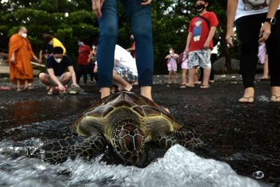 FOTO: Ritual Fang Shen Umat Buddha Manado