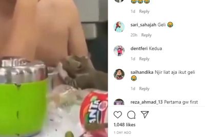 Gelay! Kucing Ini Menyusu ke Tuannya yang Seorang Pria, Netizen Geli