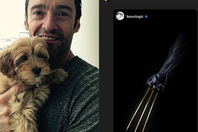 Apakah IG Story Hugh Jackman Jadi Kode Wolverine ke MCU?