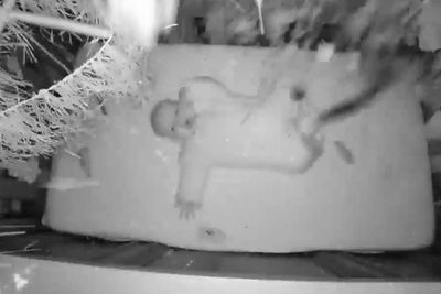 Video Pohon Jatuh di Atas Tempat Tidur Bayi, Orang Tua Bersyukur Bayinya Tak Tertimpa