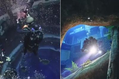 Kolam Renang Terdalam di Dunia dengan Pemandangan Menakjubkan Dibuka di Dubai