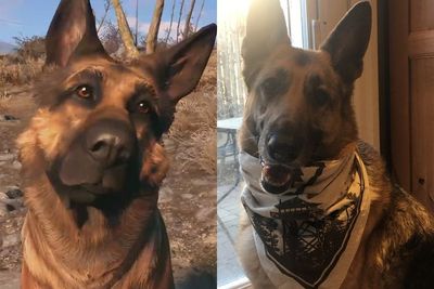 Xbox Donasikan Rp144 Juta ke Amal untuk Mengenang Kepergian Dogmeat di Fallout 4