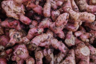 5 Obat COVID-19 Tradisional dari Tanaman Herbal
