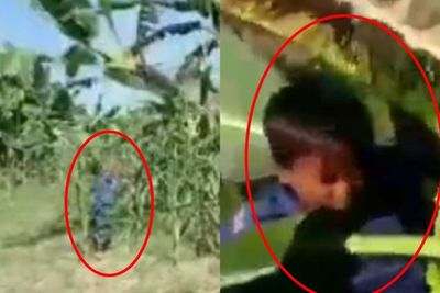 Edan, Demi Konten Bocah Cilik Ini Jadi Korban Ketimpa Debok Pisang! Lehernya Patah Ngga?