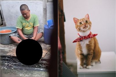 Viral Pria yang Sembelih Kucing, Ternyata ODGJ dan Sudah Dilakukan Selama 4 Kali