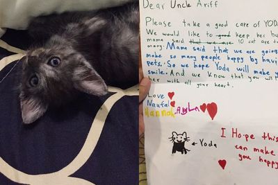Pria Ini Terharu Setelah Dirinya Mengadopsi Seekor Kucing, Ada Catatan Singkat yang Indah
