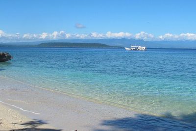 Pulau Sumbawa Mendapat Pujian Media Internasional, Tempat Terbaik Lihat Whale Shark