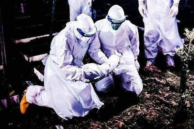 Bayi Berusia 8 Bulan Meninggal, Kematian Termuda Akibat Covid-19 di Malaysia