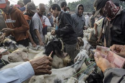 FOTO: Pasar Hewan Terbesar di Jabodetabek Dipadati Warga