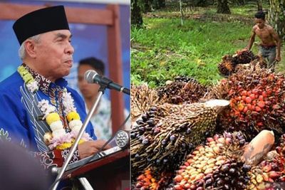 Gubernur Kaltim Tidak Pernah Lagi Keluarkan Izin Perkebunan Sawit