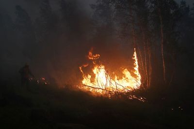 Operasi di Bandara Dihentikan Akibat Kebakaran Hutan Hebat di Rusia