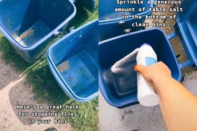 Life Hack! Ternyata Begini Cara Mudah Menghentikan Belatung Masuk ke Tempat Sampah