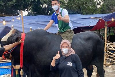 Raffi Ahmad Kurban Sapi Terbesar Gunung Kidul, Borong Puluhan untuk Keluarga dan Kerabat