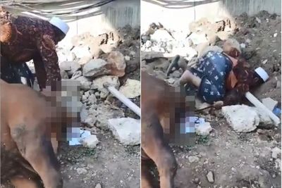 Bapak Bersarung Ini Tersungkur ke Bebatuan saat Sembelih Sapi Kurban, Netizen Ngakak!