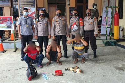 Judi Sabung Ayam Digerebek Polisi di Papua, 3 Orang Diamankan