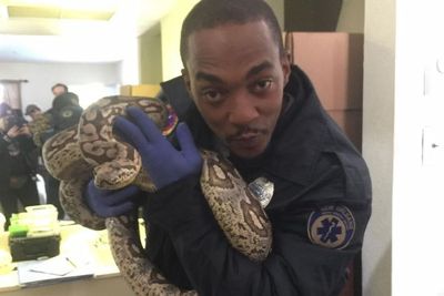 Anthony Mackie Jadi Pemeran Utama Dalam Film Netflix Berjudul We Have A Ghost