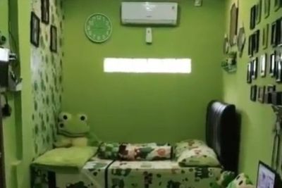Viral Rumah Bertema Keroppi, dari Warna Cat Tembok hingga Kasur Serba Hijau!
