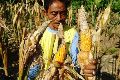 FOTO: Petani Jagung Terancam Gagal Panen