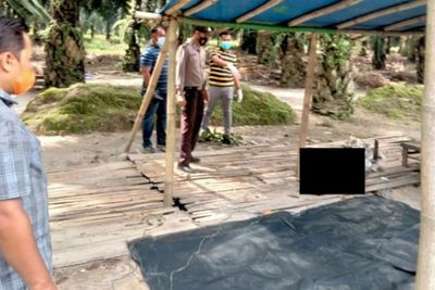 Geger Penemuan Mayat Pria Tanpa Celana di Kebun Sawit