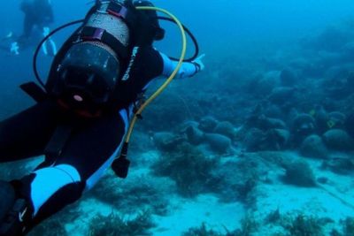 Museum Bawah Laut Laut Aegea di Yunani Dibuka untuk Wisatawan