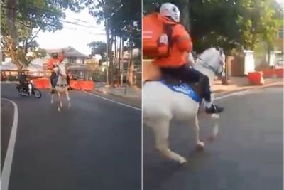 Viral, Video Driver Shopee Food Tunggangi Kuda Antar Makanan Pelanggan: Aneh-aneh Wae!