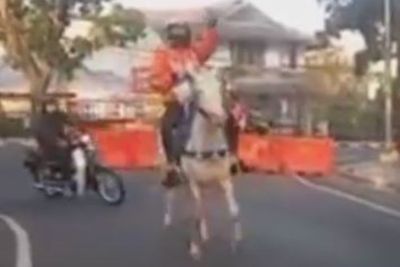 Viral Kurir Antar Paket Naik Kuda, Bukan Naik Motor, Jadi Keren Seperti Koboi