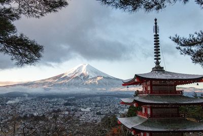 Kecoa Hingga Lipan Menjadi Hewan yang Dilindungi di Jepang!