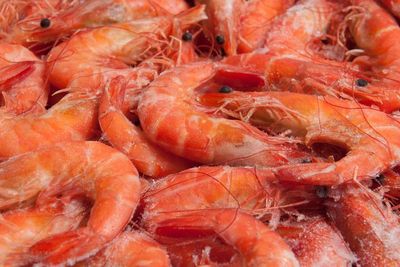 5 Makanan yang Mengandung Zinc untuk Perkuat Imun Tubuh