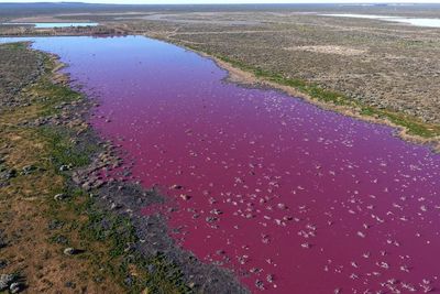 FOTO: Danau di Argentina Berubah Warna Merah Muda Akibat Polusi
