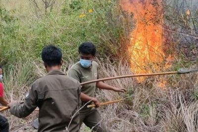Karhutla di Dairi dan Karo, Puluhan Hektare Lahan Hangus Terbakar
