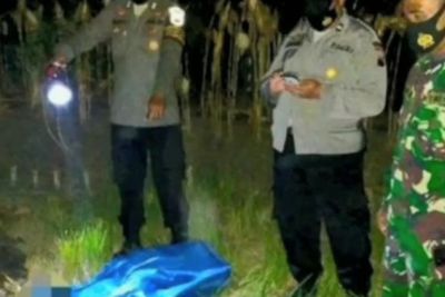 Duh! Kakek Tewas Usai Berhubungan Intim dengan PSK di Semak-semak, Kena Serangan Jantung