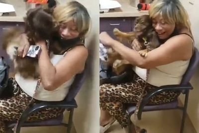 Momen Haru Keluarga Bertemu dengan Anjing Peliharaannya Setelah Dua Tahun Hilang