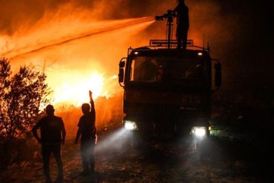 Kebakaran Hutan di Turki, Para Turis Dievakuasi dengan Kapal Penyelamat