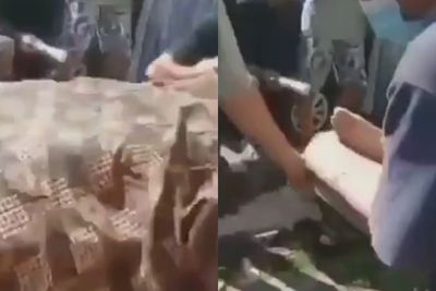Memilukan! Ibu dan Anak Tewas Tersengat Listrik di Padang, Awalnya Sang Bocah Mau Menolong