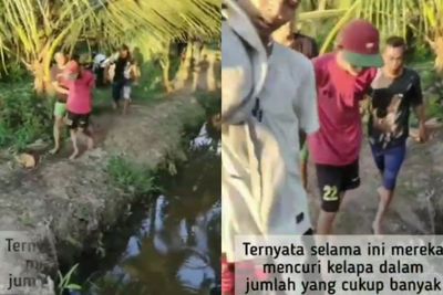 Viral, Empat Remaja Terciduk Curi Buah Kelapa Warga, Merengek Minta Ampun saat Ditangkap
