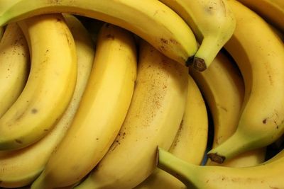 7 Makanan Pereda Nyeri Haid dan Kram Menstruasi